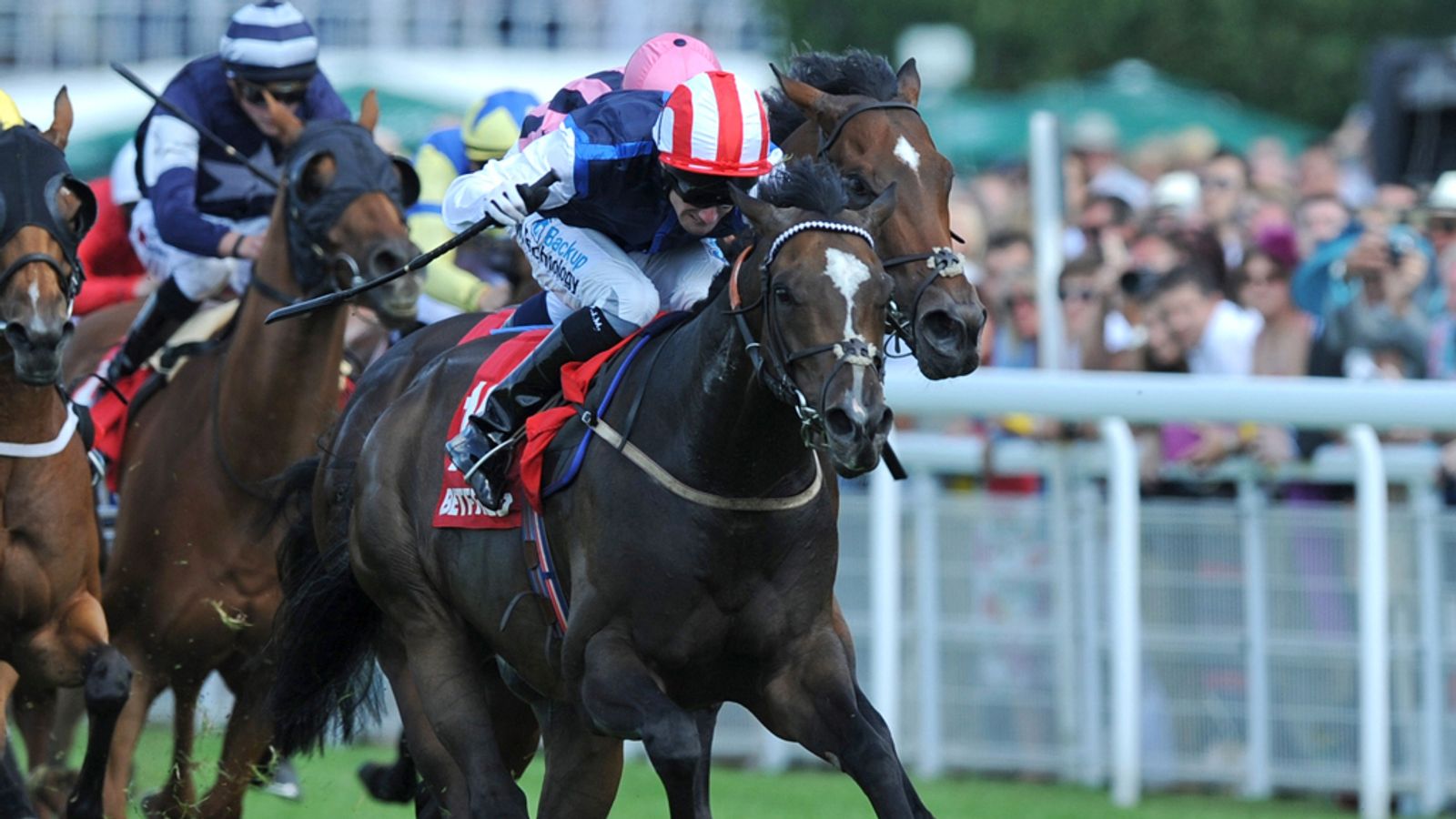 Moviesta to be sold at Doncaster Bloodstock's HorsesInTraining Sales