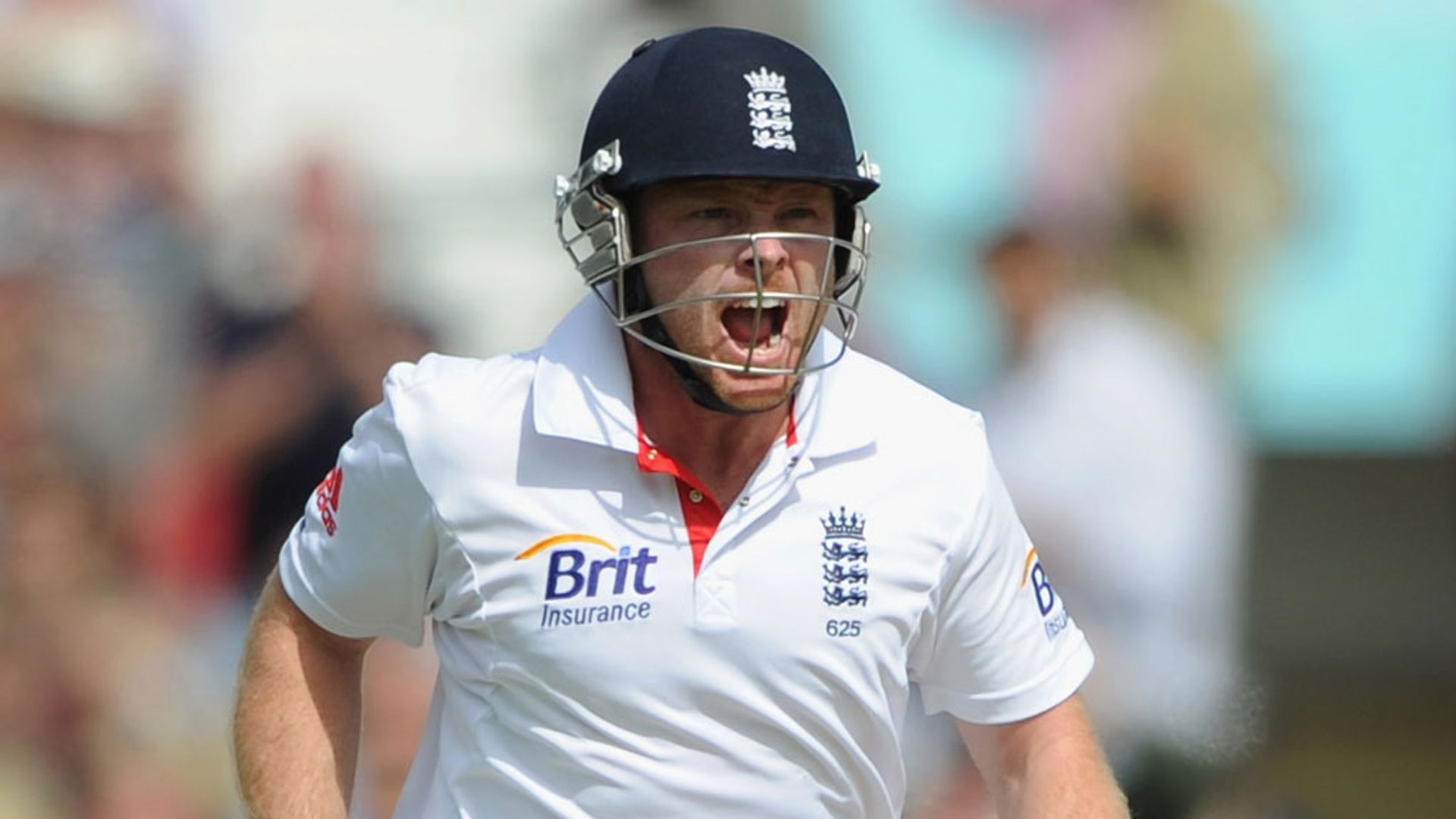 The best of Ian Bell