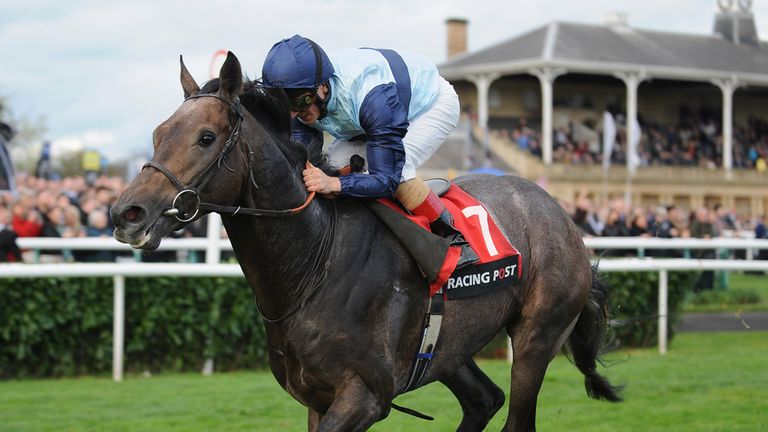 Kingston Hill flies the flag for Mastercraftsman at Doncaster.