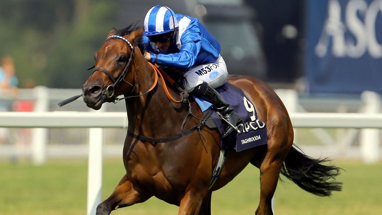 Taghrooda winning the King George VI and Queen Elizabeth Stakes