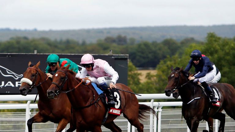 Sultanina: Goodwood winner