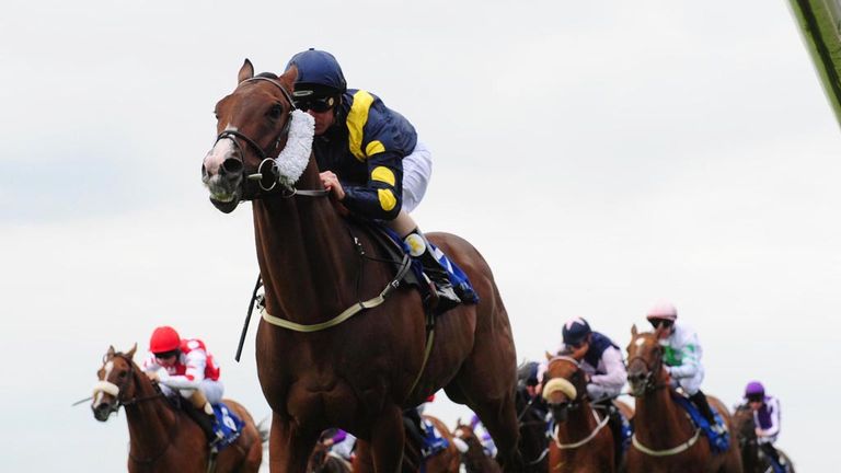 Stepper Point: Can follow-up his Curragh victory on Sunday