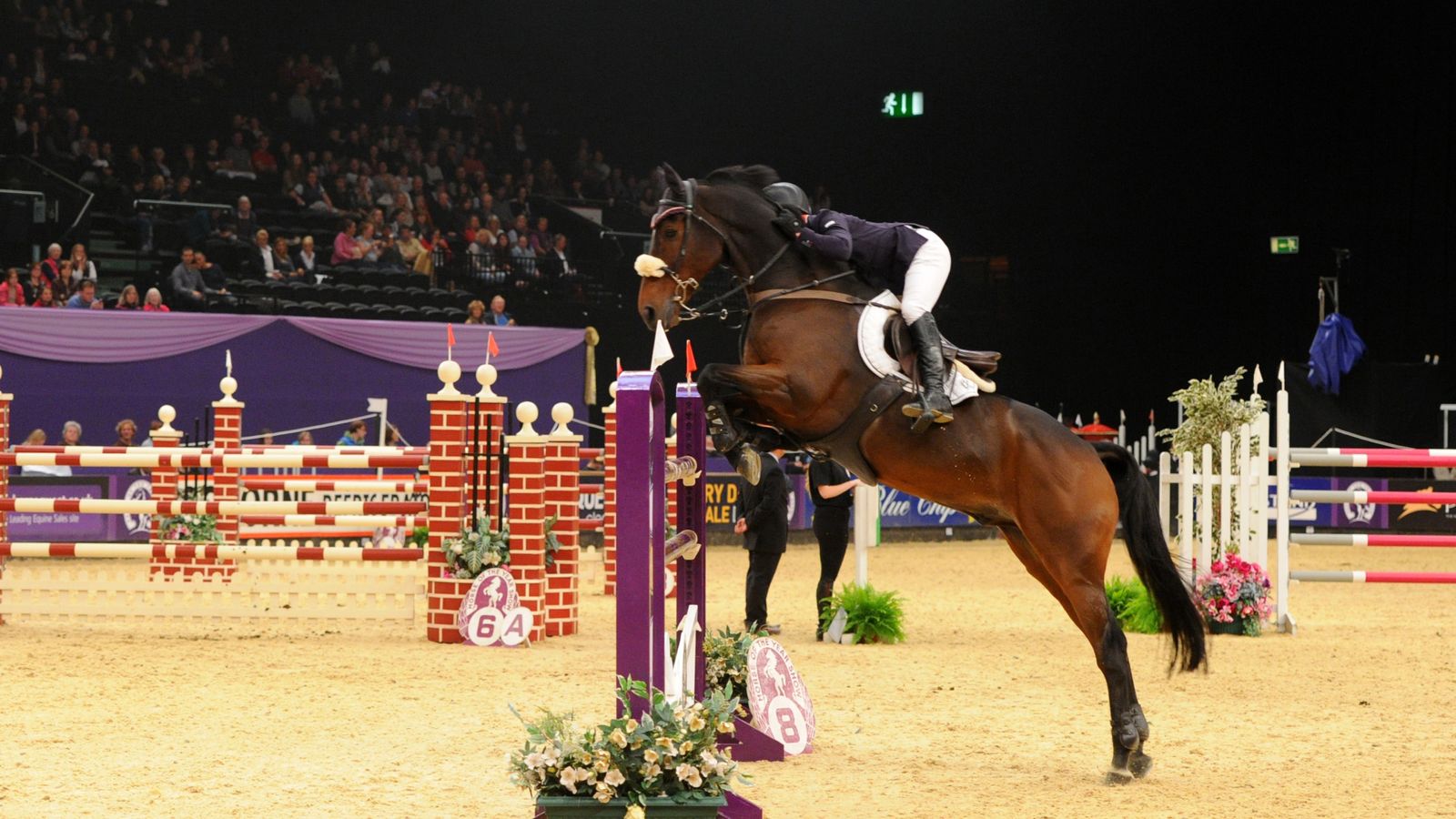 Horse of the Year Show results Equestrian News Sky Sports