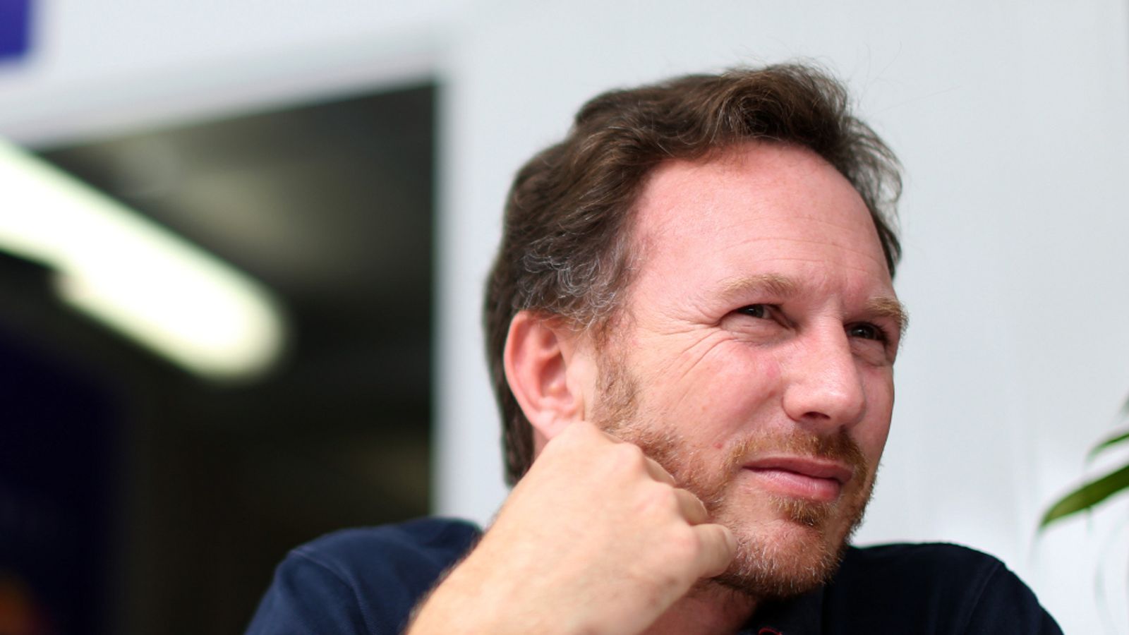 Red Bull chief Christian Horner confident deposed champions will enjoy