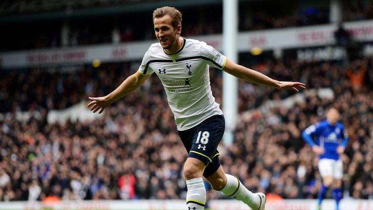 Harry Kane: Scored 21 Premier League goals for Tottenham in breakthrough season