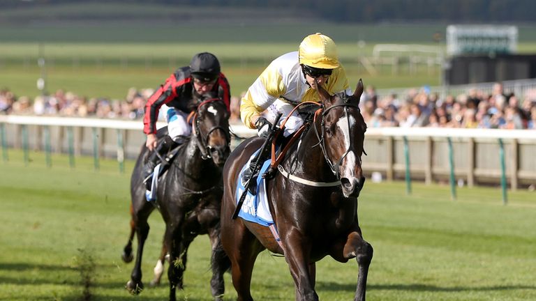 Quiet Reflection: Will be tested over six furlongs