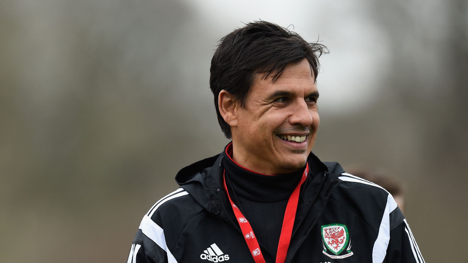 Chris Coleman does not expect drastic changes from England this summer