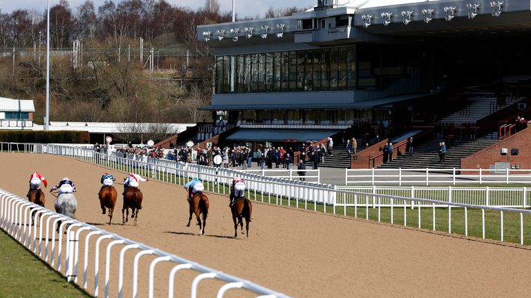 A general view as runners race towards the finish and grandstands at Wolverhampton