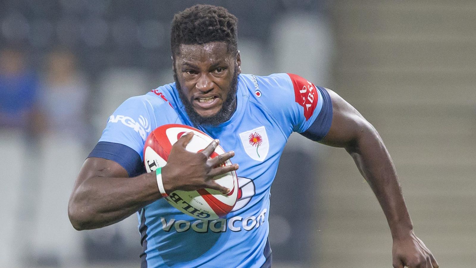 Kings 6 - 38 Bulls - Match Report & Highlights