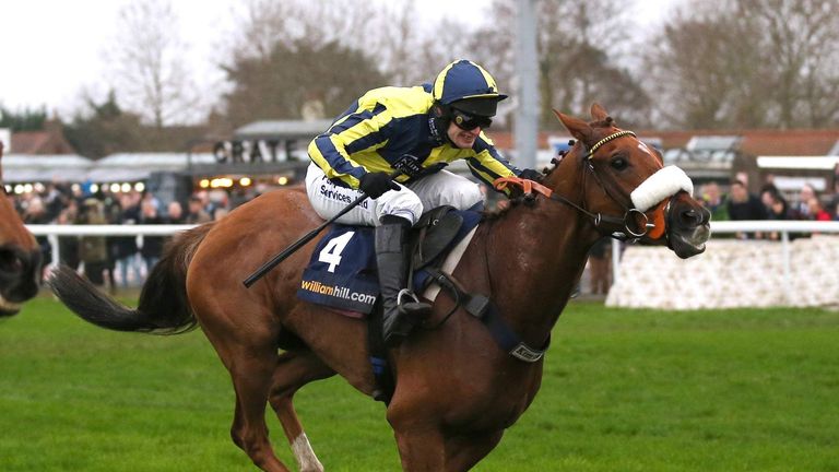The Last Samuri - retired after fine career