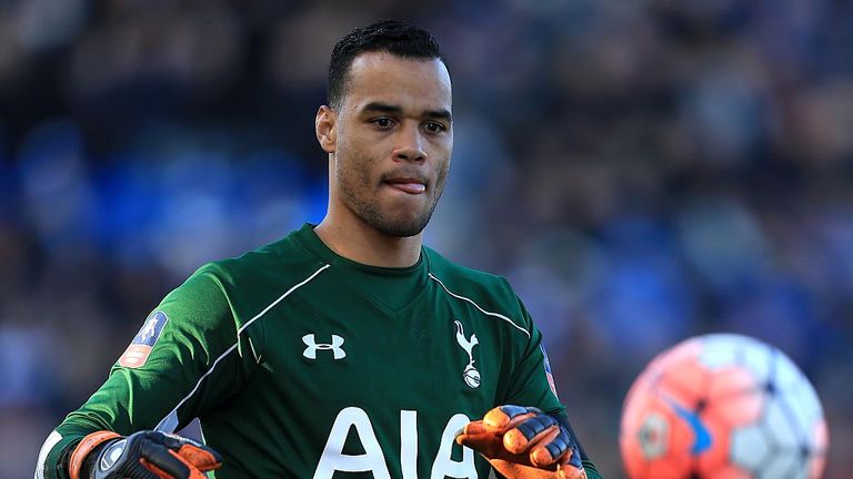Michel Vorm arrived at White Hart Lane from Swansea in 2014