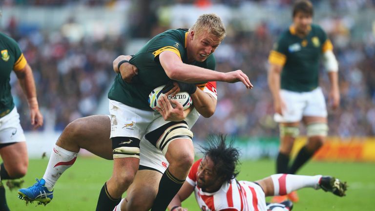 Pieter-Steph du Toit's absence is a blow for the Springboks