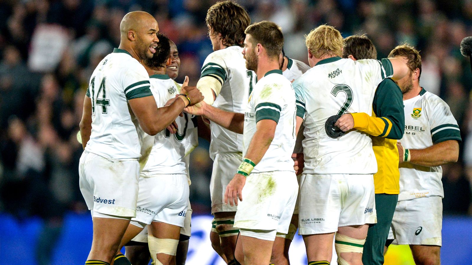 Springboks problems down to lack of confidence, says Thinus Delport ...