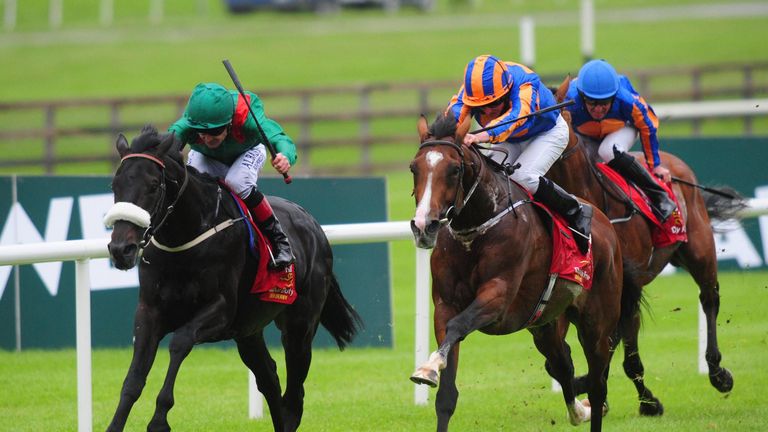 Harzand returned lame from the Irish Champion Stakes