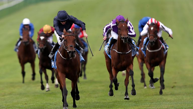 Rhododendron: One of four Aidan O'Brien runners in Lockinge