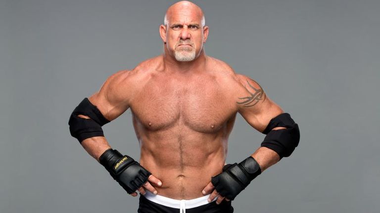 Goldberg returned in style at WWE Survivor Series