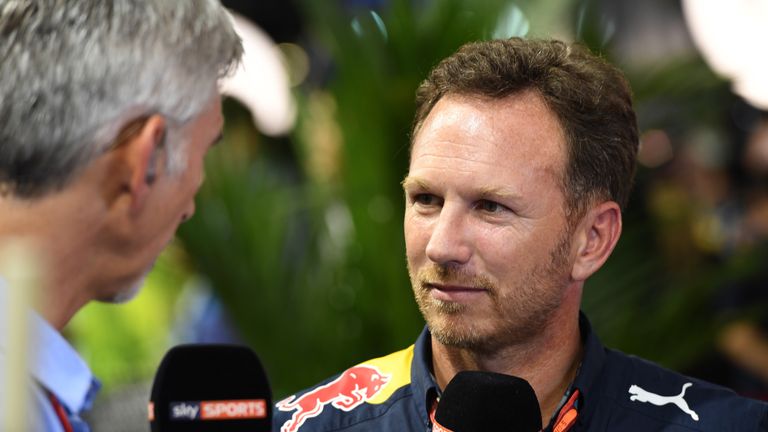 Christian Horner believes Red Bull can challenge Mercedes in 2017