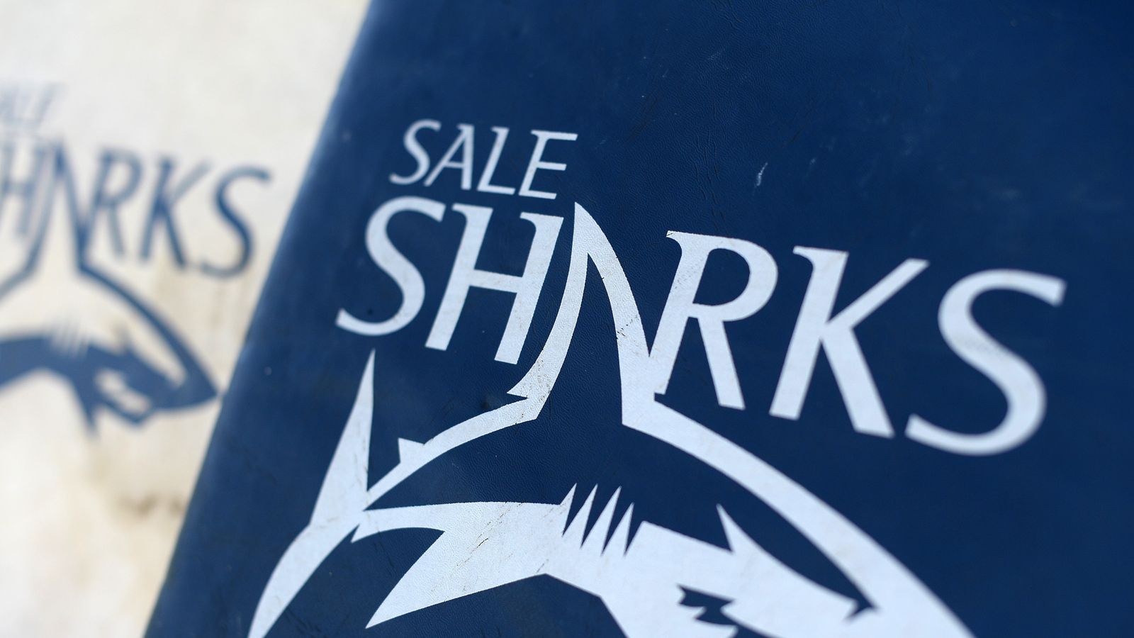 sharks rugby shop