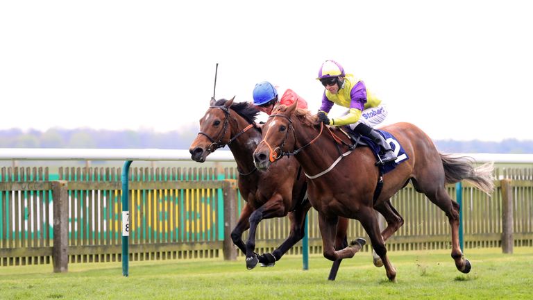 Brando (nearside) wins the Connaught Access Flooring Abernant Stakes at Newmarket