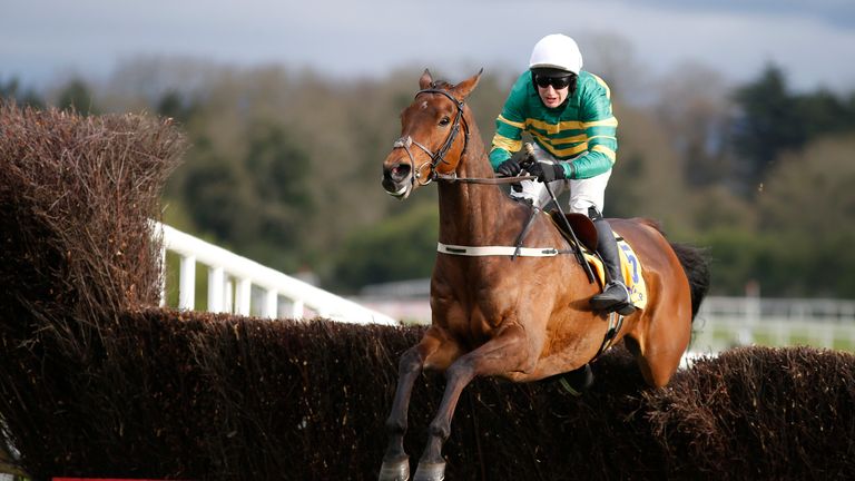 Jody McGarvey riding Great Field to victory at Punchestown