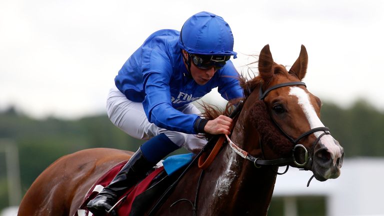 Hawkbill - fantastic servant for Godolphin