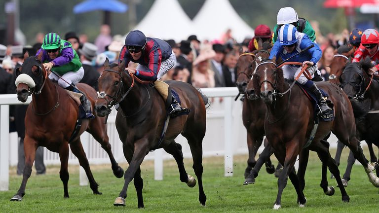 The Tin Man - runs in Hackwood Stakes