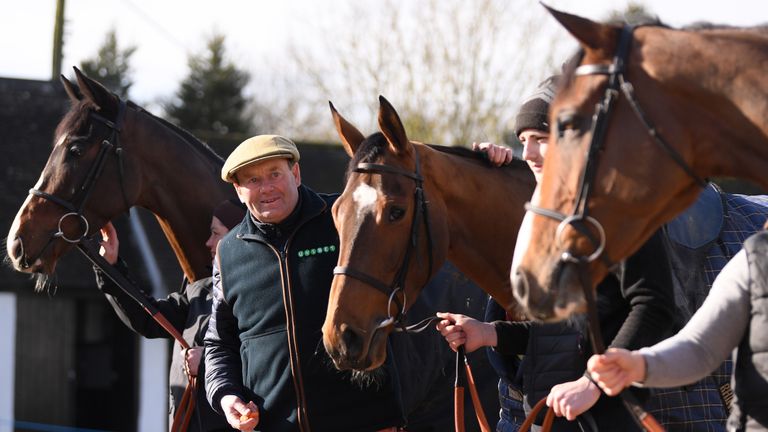 Nicky Henderson: Four runners in the Albert Bartlett
