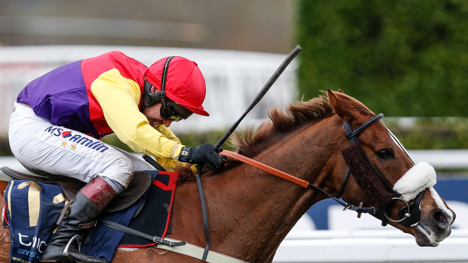 Tizzards looking to Aintree with Native River | Racing News Tizzards looking to Aintree with Native River | Racing News