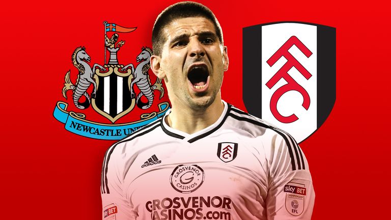 Aleksandar Mitrovic has shone on loan at Fulham