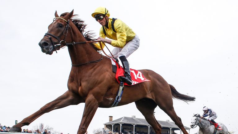 Addeybb - out to prove himself on faster ground in Lockinge