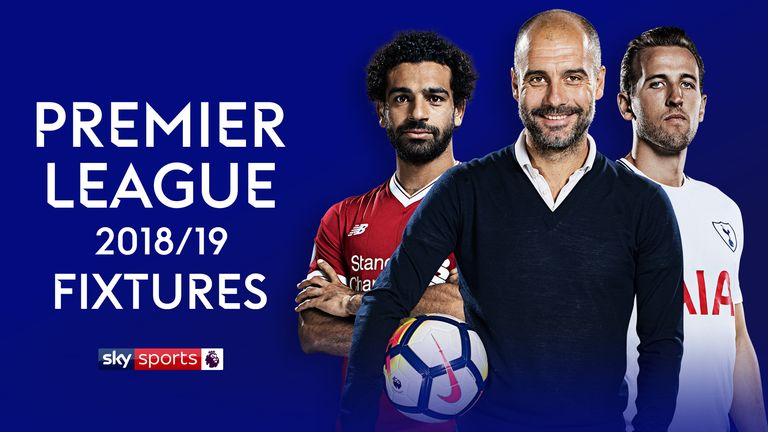 Image result for premier league