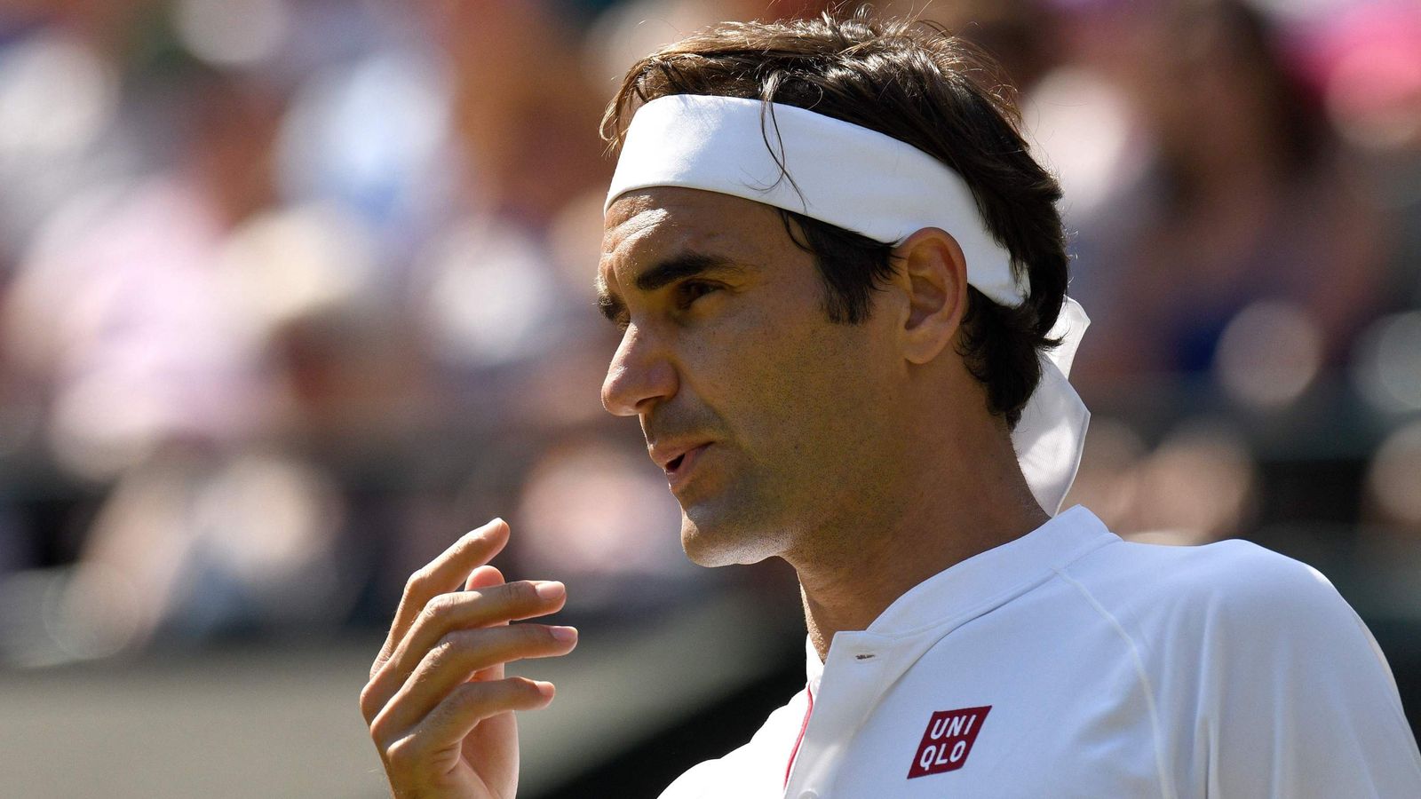 Roger Federer withdraws from Rogers Cup in Toronto ...