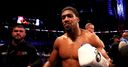 Hearn: Joshua wants 'just' Wilder next