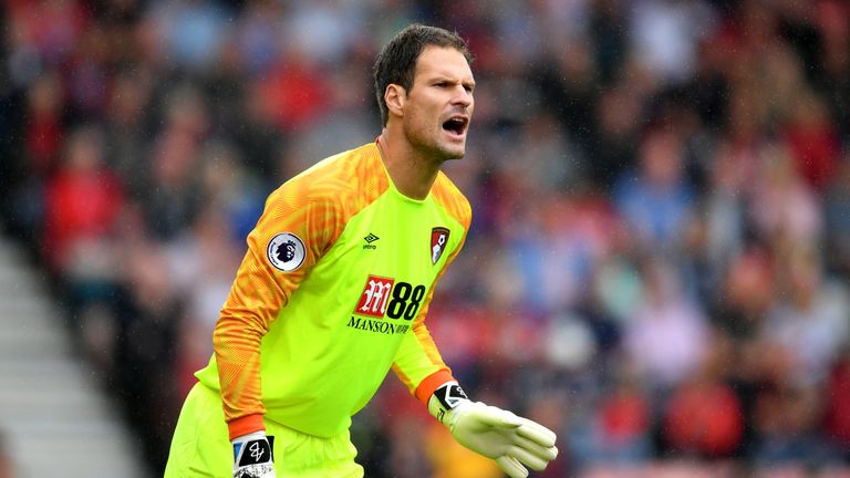 Image result for begovic