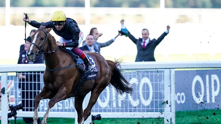 Stradivarius - makes return to action at York on Friday