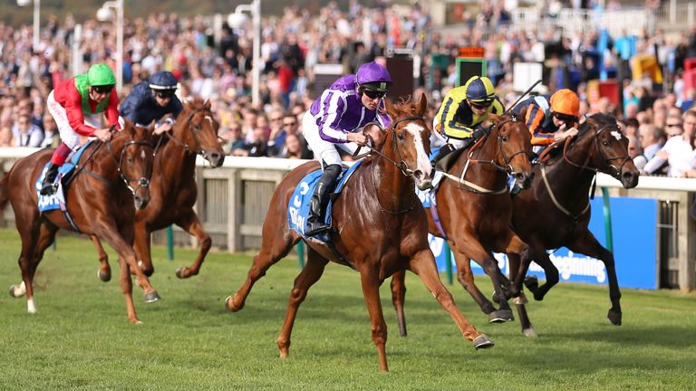 Norway is well on top in the Zetland Stakes