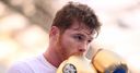 How can Fielding trouble Canelo?