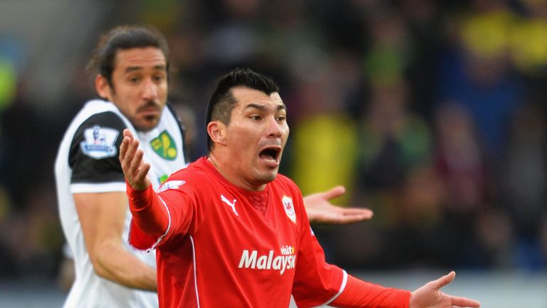 Medel made 34 appearances for Cardiff