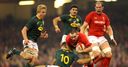 Roberts backs Wales for glory