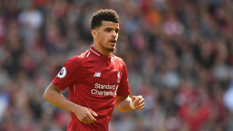 Dominic Solanke has since joined Bournemouth in a £19m deal last month