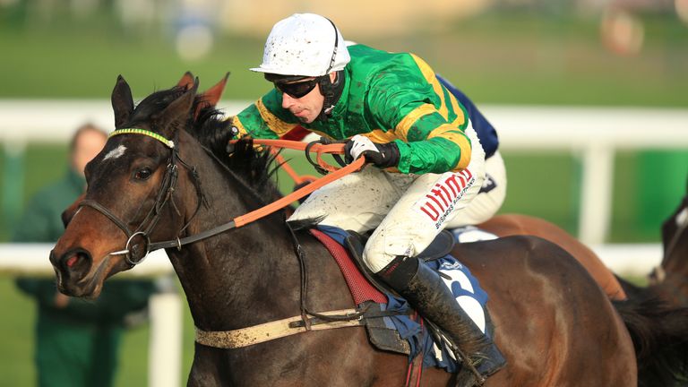 Winter Escape - big race winner at Punchestown