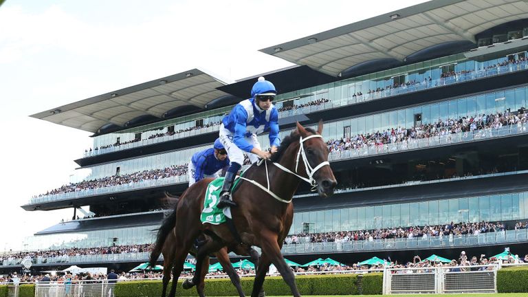 Winx moves winning streak to 31 with world record win Winx moves winning streak to 31 with world record win