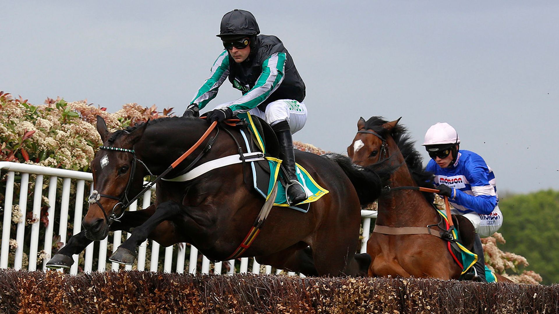 Altior set for Tingle Creek