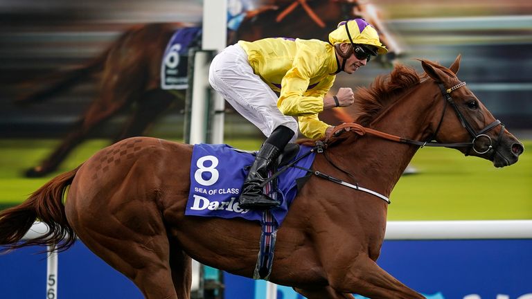 James Doyle celebrates on Sea Of Class at York