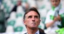 WBA to approach Wolfsburg boss Labbadia