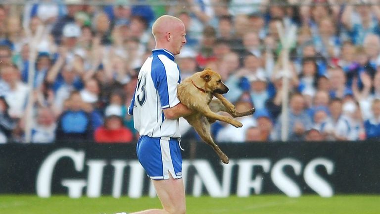 Waterford hurler John Mullane escorted a dog off the field during the 2007 Munster Hurling Championship final