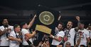 Toulouse claim Top 14 glory