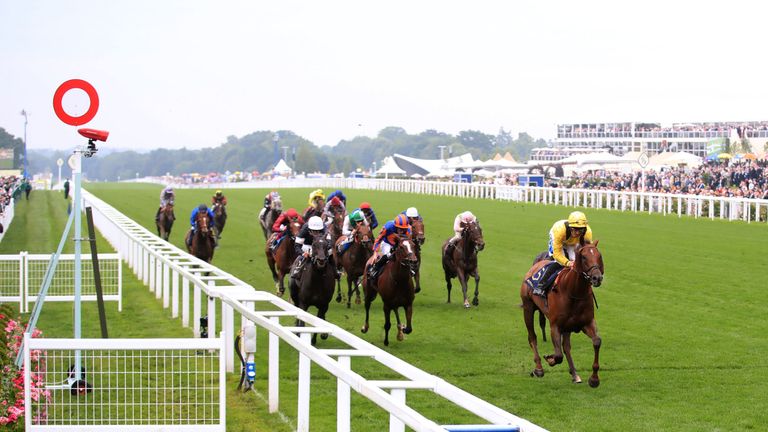 Addeybb winning the Wolferton