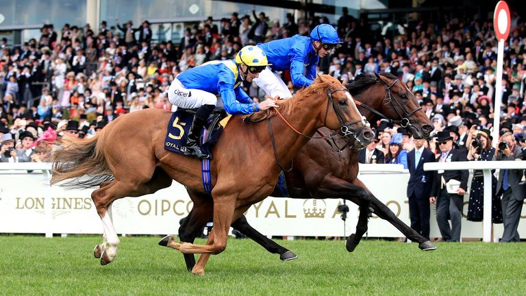 Dream Of Dreams (near side) pushes Blue Point close