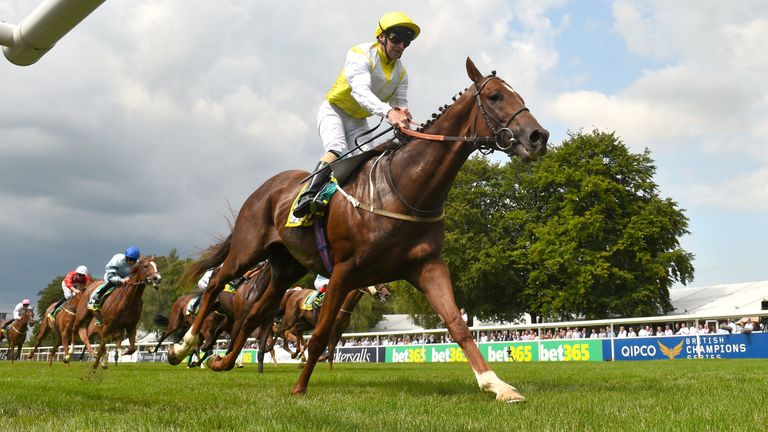 King's Advice lands the bet365 Trophy at Newmarket